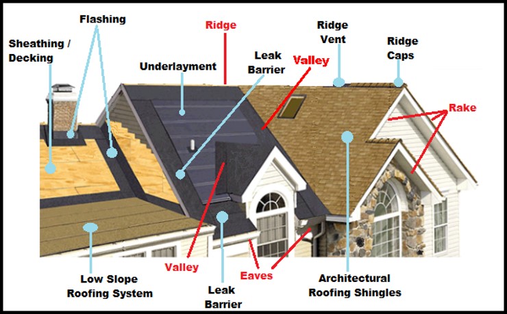 The Anatomy of a Roof